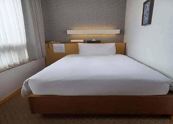 Myeongdong Hotel Seoel